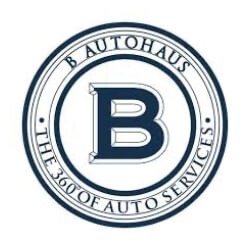 b-autohaus-customers-logo.jpg